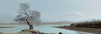 Lagoon Oak Tree Fine Art Print