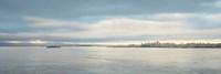 Morning Vista across the Bay Fine Art Print