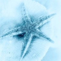 Nautica No1 Fine Art Print