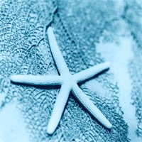 Nautica No2 Fine Art Print