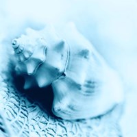 Nautica No4 Fine Art Print