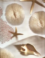 Nautical Illuminations No.1 Fine Art Print