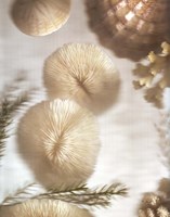 Nautical Illuminations No.2 Fine Art Print