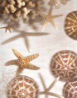 Nautical Illuminations No.3 Fine Art Print