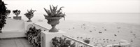 Positano Terrazza Vista Fine Art Print