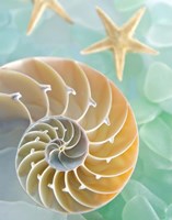 Seaglass 2 Fine Art Print