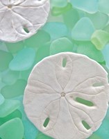Seaglass 5 Fine Art Print