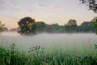 Western Plains Sunrise Fine Art Print