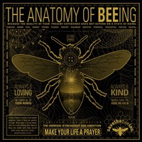 Anatomy 0F Bee-Ing Fine Art Print