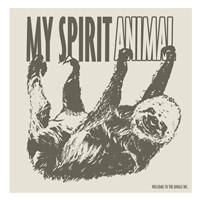 Sloth Fine Art Print