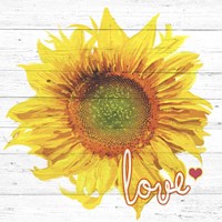 Sun Love Fine Art Print