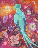 Quetzecal Fine Art Print