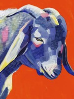 Animal Party III Framed Print