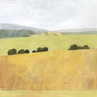 Soft Fieldscape II Framed Print