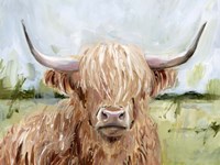 Highland Grazer II Fine Art Print