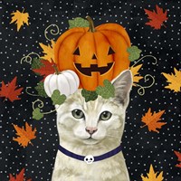 Halloween Cat I Fine Art Print