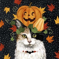 Halloween Cat II Fine Art Print