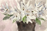 Magnolia Watercolor Study I Fine Art Print
