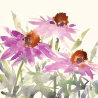 Daisy Garden Views II Fine Art Print