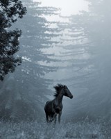 Horse in the Trees I Fine Art Print