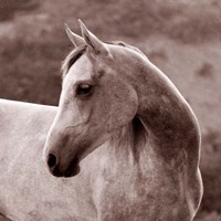 Tempest Fine Art Print