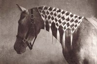 Weave Fine Art Print