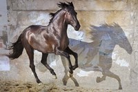 Shadow Fine Art Print