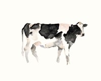 Farm Animal Study II Fine Art Print