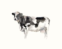 Farm Animal Study III Fine Art Print