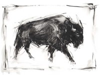 Dynamic Bison I Fine Art Print