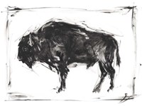 Dynamic Bison II Fine Art Print