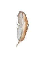 Bird Life VI Fine Art Print