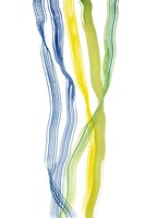 Ribboned II Fine Art Print