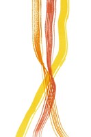 Ribboned III Fine Art Print