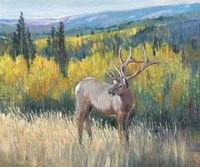 View From the Top I Fine Art Print