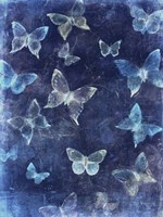 Indigo Flight II Fine Art Print