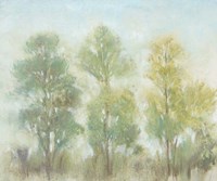 Muted Trees II Fine Art Print