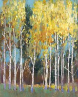 Aspen Grove II Fine Art Print