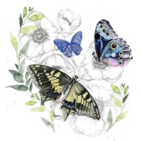 Butterfly Floral I Fine Art Print