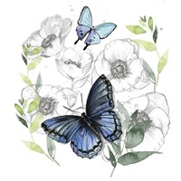 Butterfly Floral II Fine Art Print