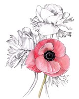 Anemone by Number I Fine Art Print