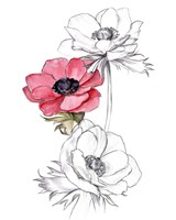 Anemone by Number II Framed Print