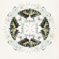 Butterfly Mandala I Fine Art Print