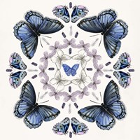 Butterfly Mandala II Fine Art Print