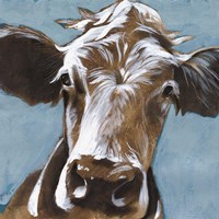 Cow Kisses II Fine Art Print