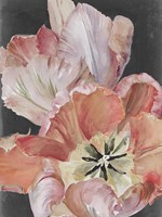 Pastel Parrot Tulips I Fine Art Print