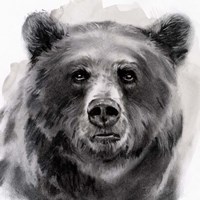 Bear Grin II Fine Art Print