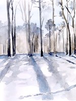 Winter Light II Fine Art Print