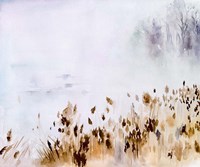 Sea Oats Mist II Fine Art Print