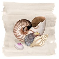 Ocean Keepsake I Fine Art Print